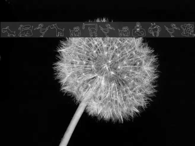 FE-Ubiquitous Font examples