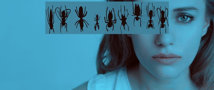 FE-WinBugs Font examples