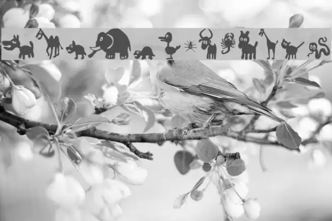 FE-WinPets2 Font examples