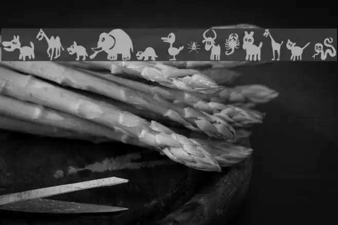 FE-WinPets2 Font examples