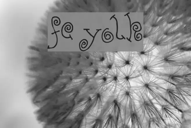 FE-Yolk Font examples