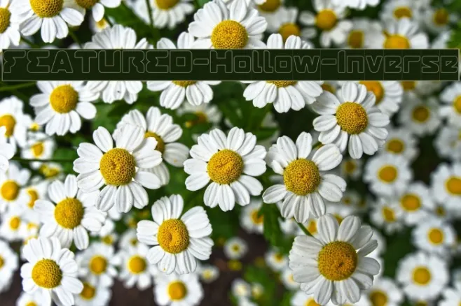FEATURED-Hollow-Inverse Example 2