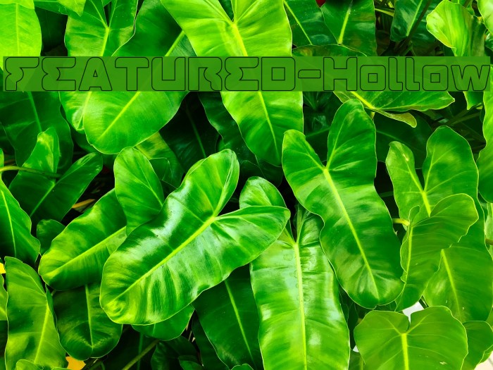 FEATURED-Hollow Example 2