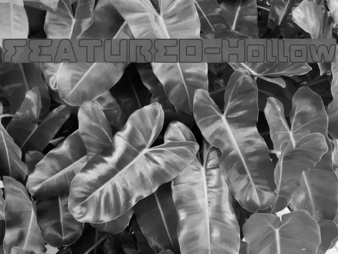 FEATURED-Hollow Font examples