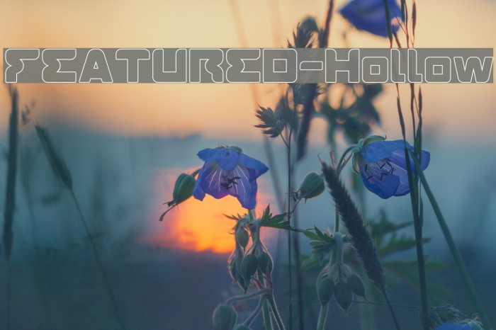 FEATURED-Hollow Example 3