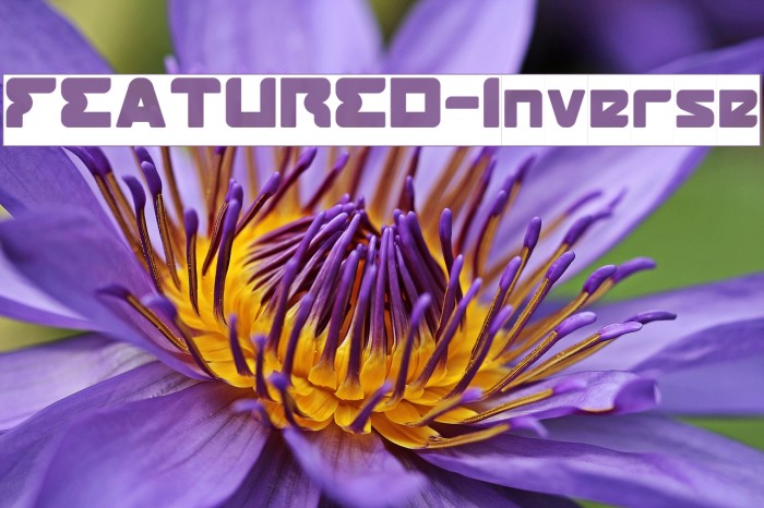 FEATURED-Inverse Example 1