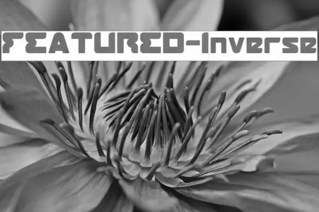 FEATURED-Inverse Font examples
