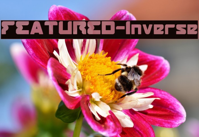 FEATURED-Inverse Example 2