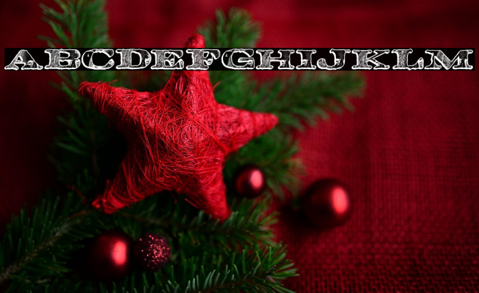 FEDERAL PERSONAL USE Bold Example 1