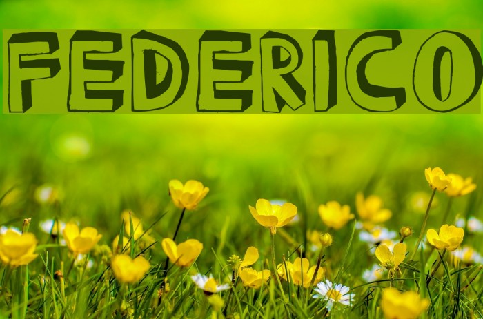 FEDERICO Font examples