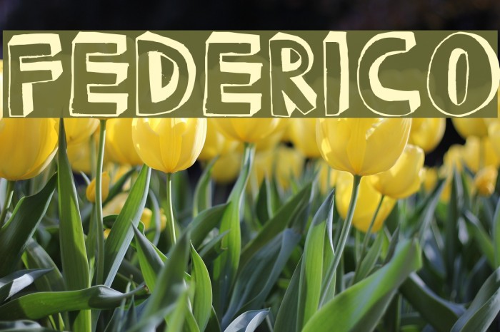FEDERICO Font examples