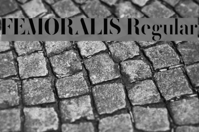 FEMORALIS Regular Font examples