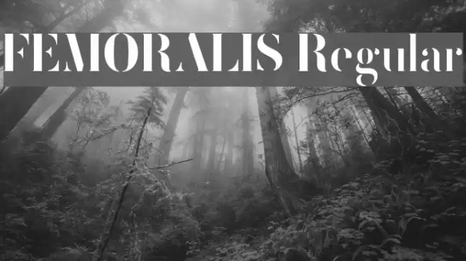 FEMORALIS Regular Font examples
