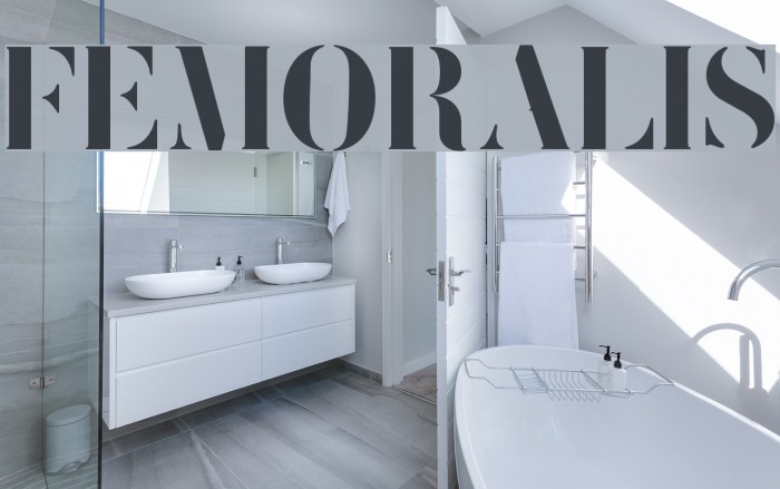 FEMORALIS Font examples