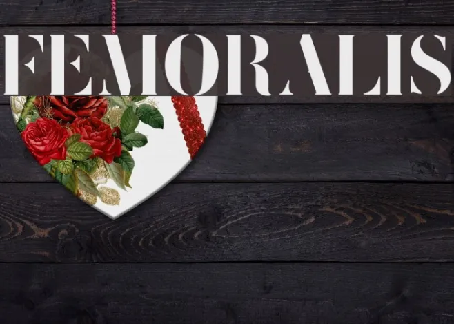 FEMORALIS Example 2