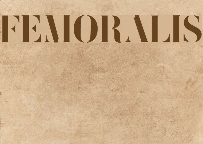 FEMORALIS Font examples