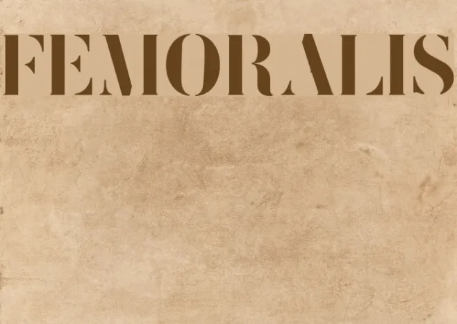 FEMORALIS Example 3