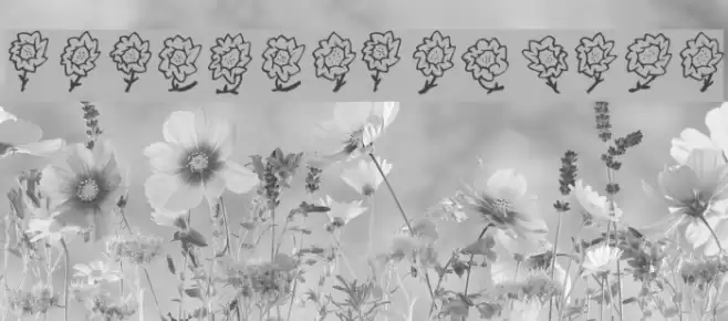 FEMajasFlowers Font examples