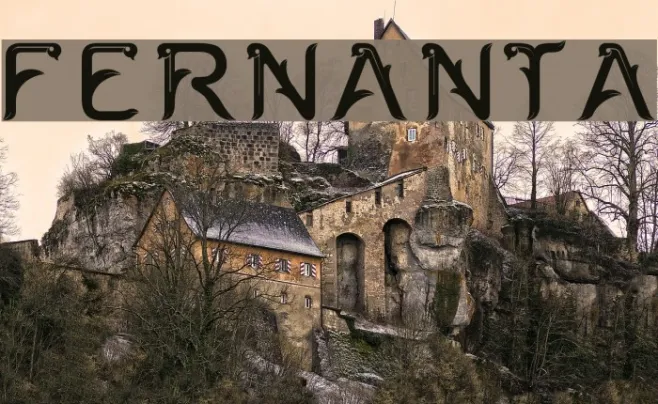 FERNANTA Example 2