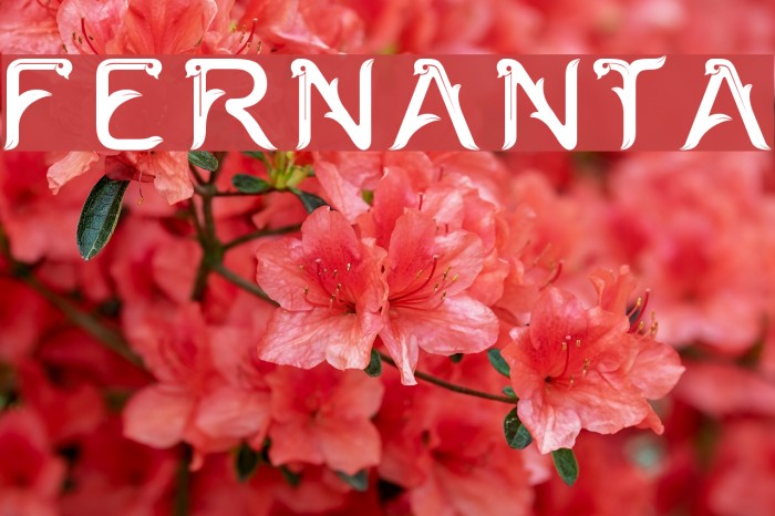 FERNANTA Font examples