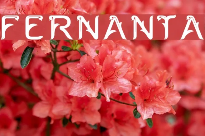 FERNANTA Example 3