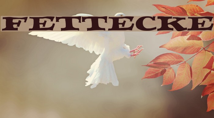 FETTECKE Font examples