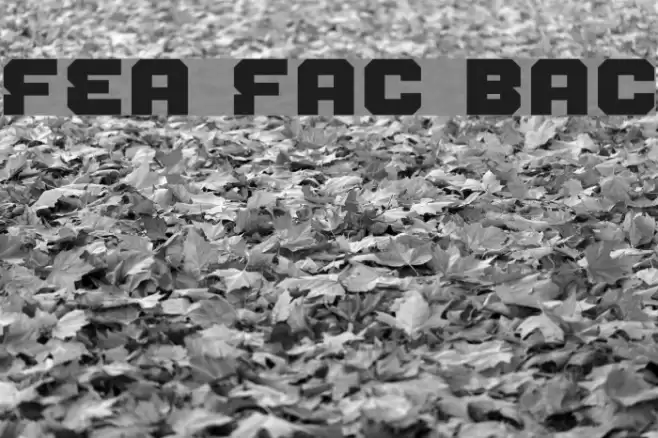 Fear Factor Black Font examples