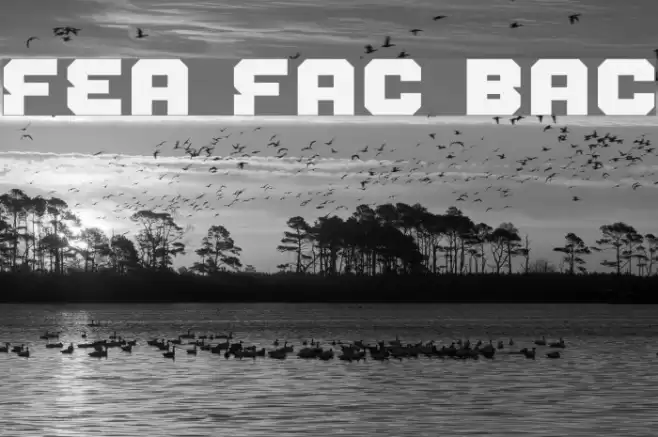 Fear Factor Black Font examples