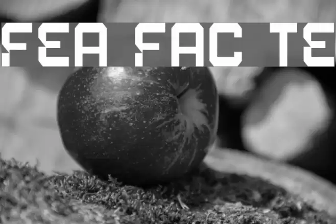 Fear Factor Text Font examples