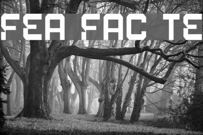 Fear Factor Text Font examples