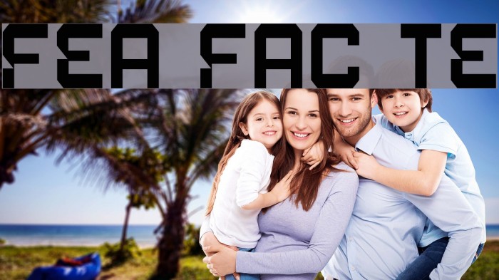Fear Factor Text Font examples