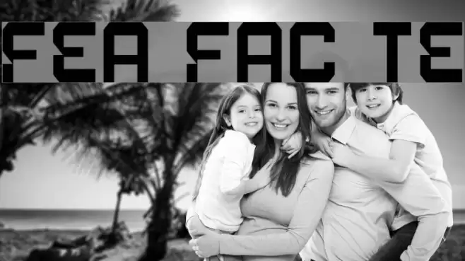Fear Factor Text Font examples