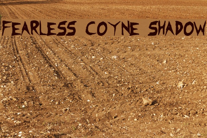 Fearless Coyne Shadow Example 1