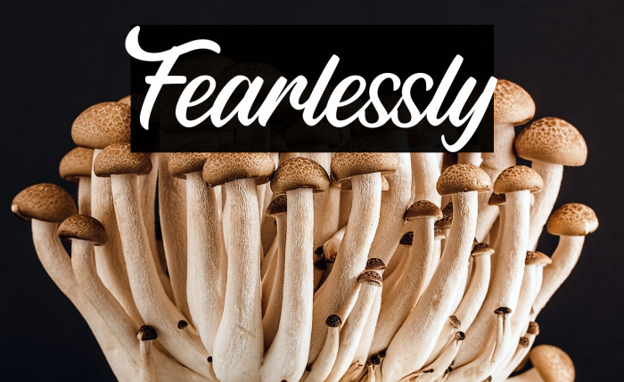 Fearlessly Example 2