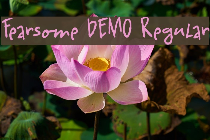 Fearsome DEMO Regular Font examples