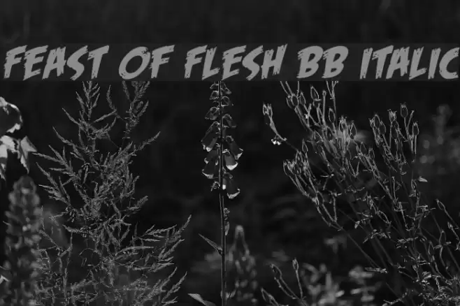 Feast of Flesh BB Italic Font examples