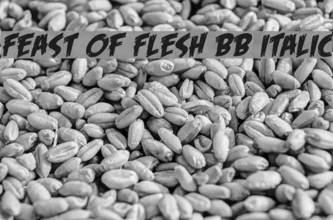 Feast of Flesh BB Italic Font examples