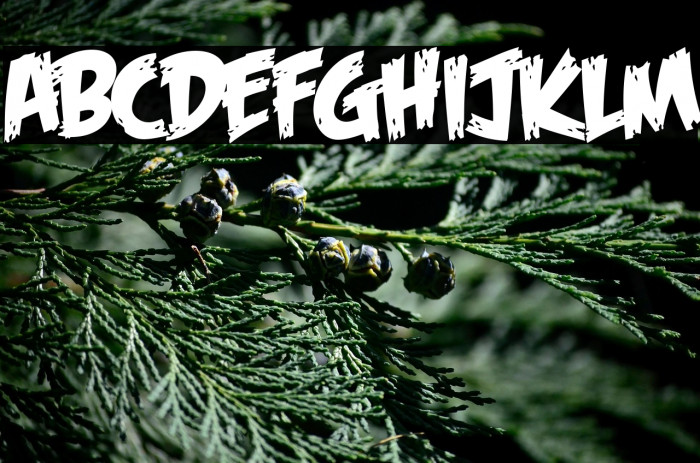 Feast of Flesh BB(RUS BY LYAJKA Example 1