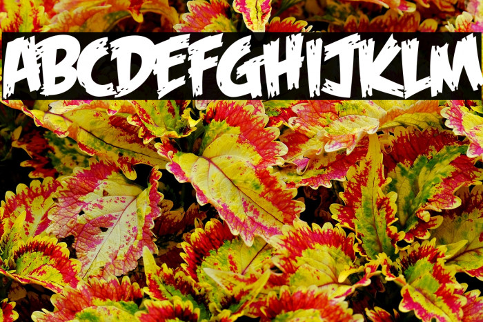 Feast of Flesh BB(RUS BY LYAJKA Example 3