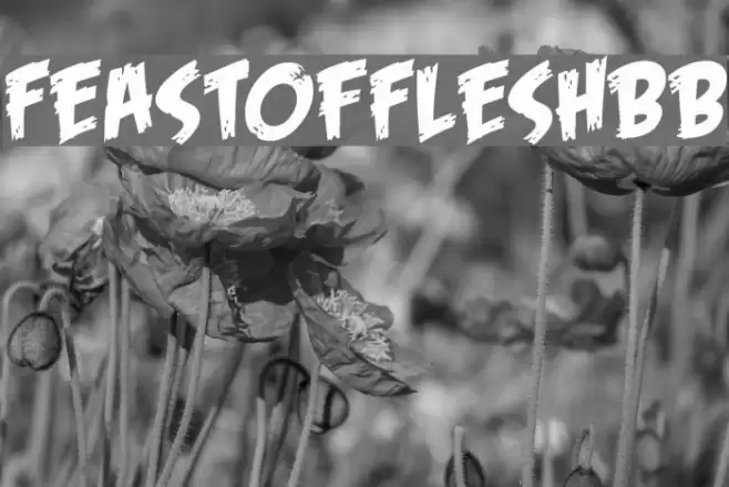 FeastofFleshBB Font examples