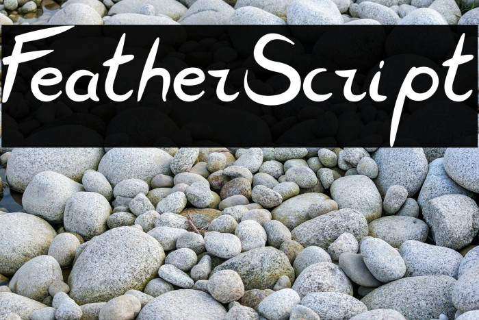 FeatherScript Font examples