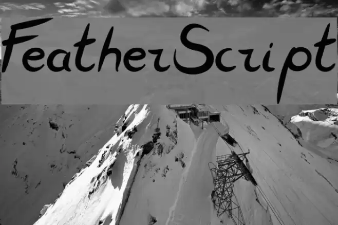 FeatherScript Font examples