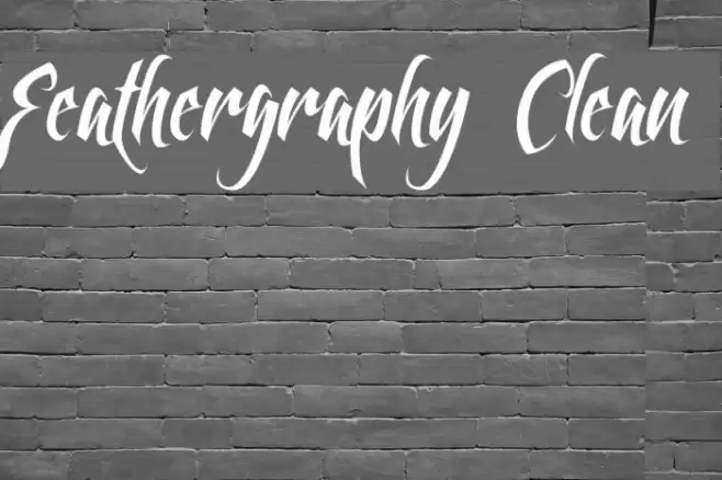 Feathergraphy Clean Font examples