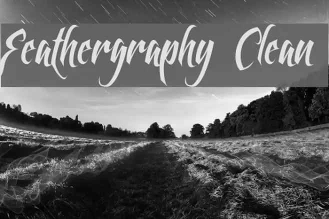 Feathergraphy Clean Font examples