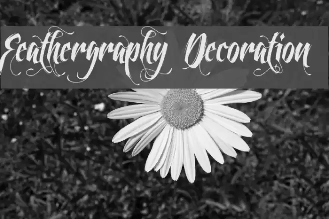 Feathergraphy Decoration Font examples