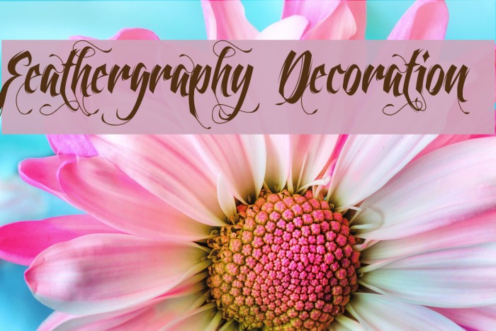 Feathergraphy Decoration Font examples
