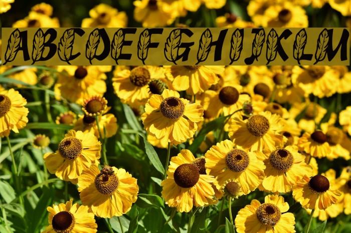 FeathersInYourCapsRegular Font examples