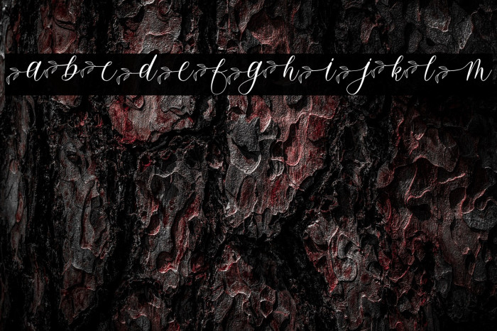 Feathery-PersonalUse Example 3