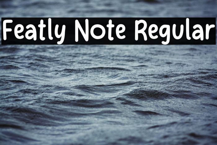 Featly Note Regular Example 1