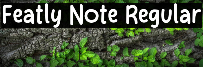 Featly Note Regular Example 2